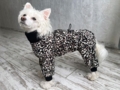 Изображение пользователя 5JFCKEy5HP для компании Одежда для собак McDog.ru
