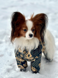 Изображение для Одежда для собак McDog.ru от пользователя 5JFCKEy5HP