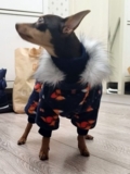 Изображение для Одежда для собак McDog.ru от пользователя 5JFCKEy5HP
