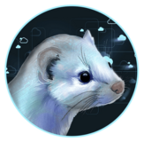 Изображение для WeaselCloud от пользователя менеджер