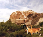 Изображение для Такси аэропорта Актау по святым местам в Бекет ата, Шопан ата, Караман ата от пользователя taksi162