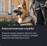 Изображение для ООО "ЧОП СПЕЦИАЛЬНОЕ ЭЛИТНОЕ ПОДРАЗДЕЛЕНИЕ" от пользователя tchop-sep