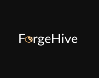 Изображение для ForgeHive от пользователя Арина Андреевна